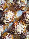 Bolitas tipo trufas