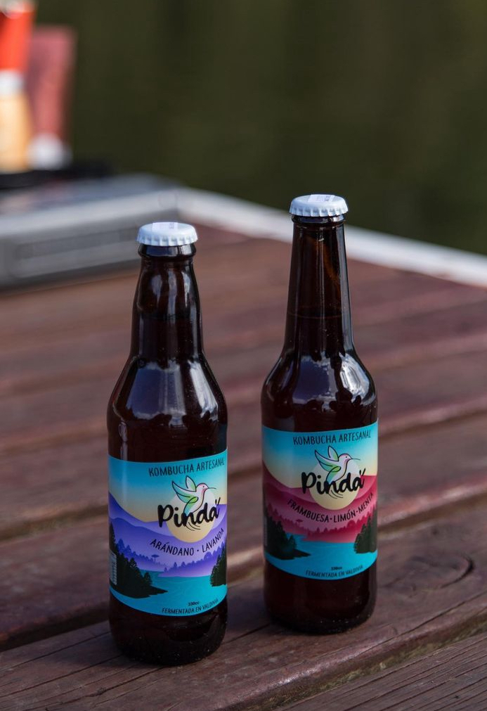 Kombucha Pinda