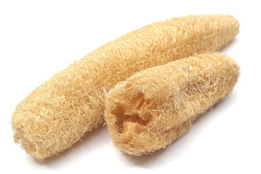 Luffas Cilindricas Pequeñas